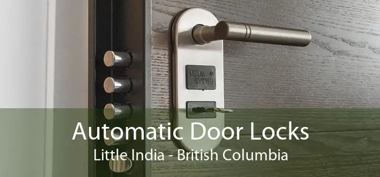 Automatic Door Locks Little India - British Columbia