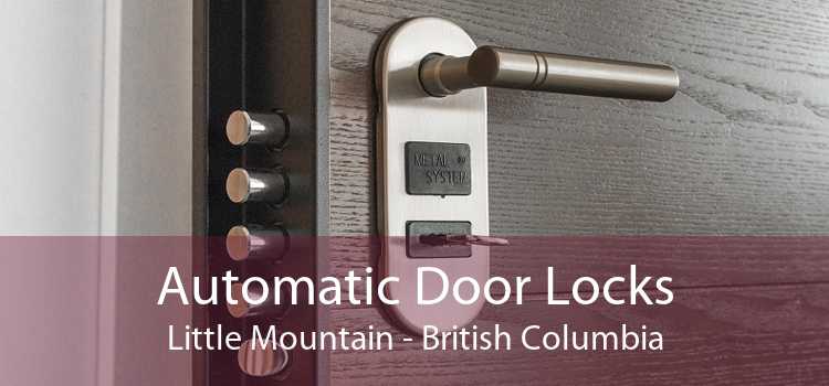 Automatic Door Locks Little Mountain - British Columbia