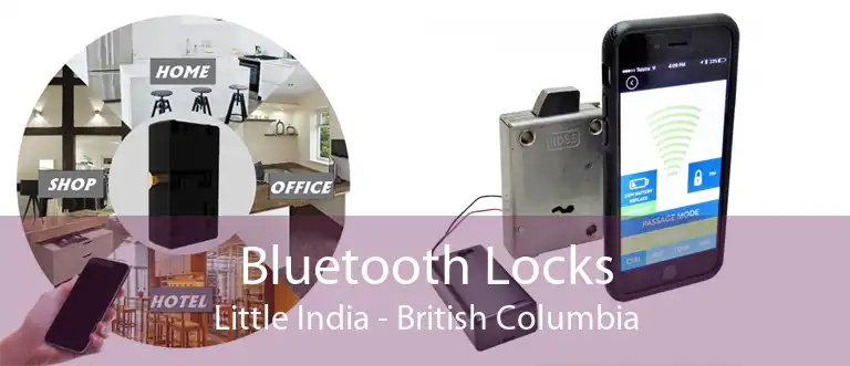 Bluetooth Locks Little India - British Columbia