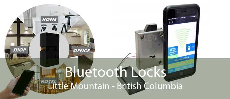 Bluetooth Locks Little Mountain - British Columbia