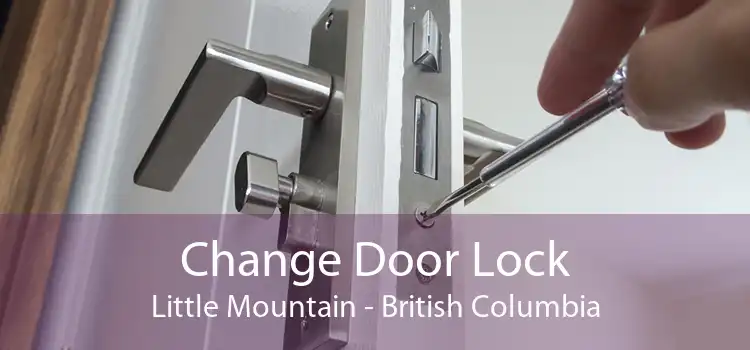 Change Door Lock Little Mountain - British Columbia