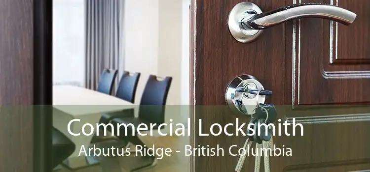 Commercial Locksmith Arbutus Ridge - British Columbia