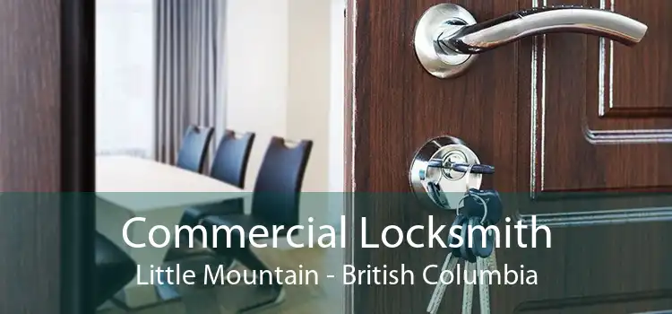 Commercial Locksmith Little Mountain - British Columbia