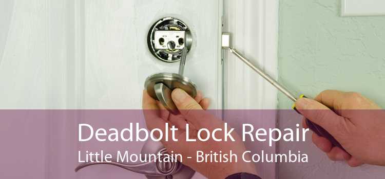 Deadbolt Lock Repair Little Mountain - British Columbia