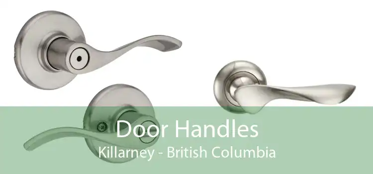 Door Handles Killarney - British Columbia