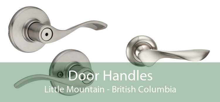 Door Handles Little Mountain - British Columbia
