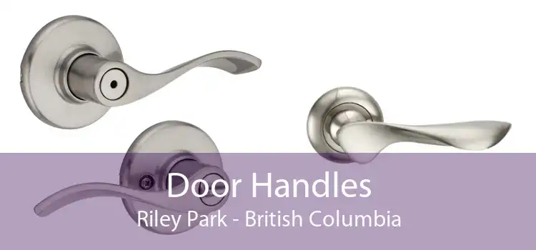 Door Handles Riley Park - British Columbia