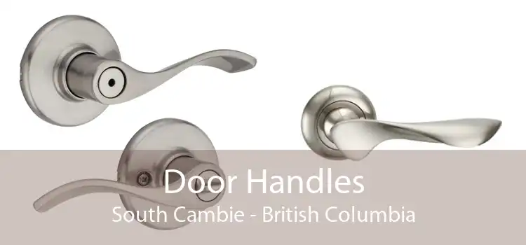 Door Handles South Cambie - British Columbia