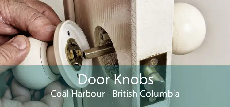 Door Knobs Coal Harbour - British Columbia