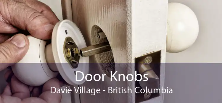 Door Knobs Davie Village - British Columbia