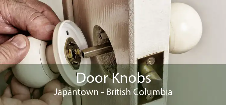 Door Knobs Japantown - British Columbia