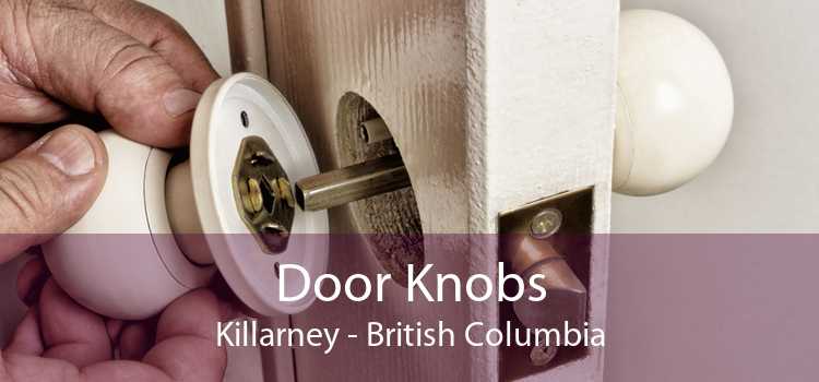 Door Knobs Killarney - British Columbia