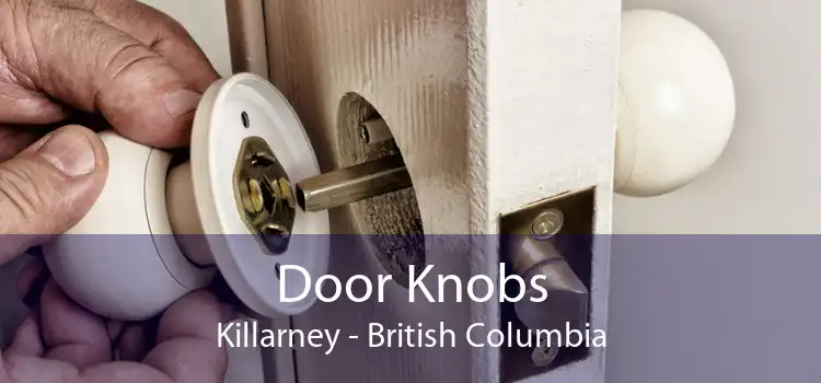 Door Knobs Killarney - British Columbia