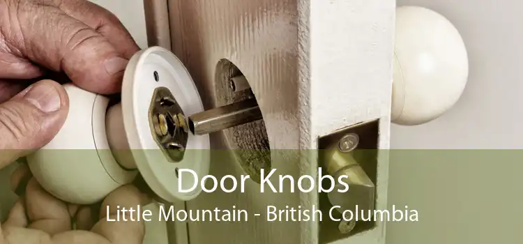 Door Knobs Little Mountain - British Columbia