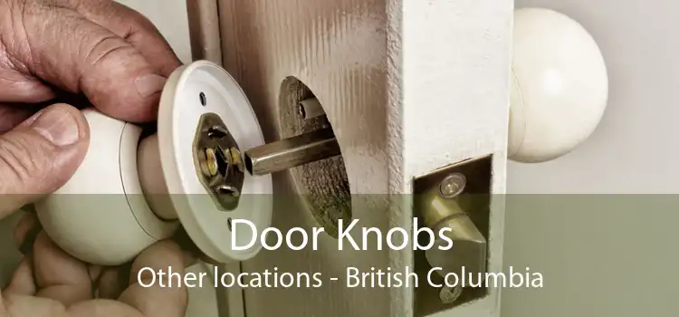 Door Knobs Other locations - British Columbia