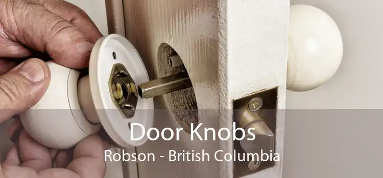 Door Knobs Robson - British Columbia