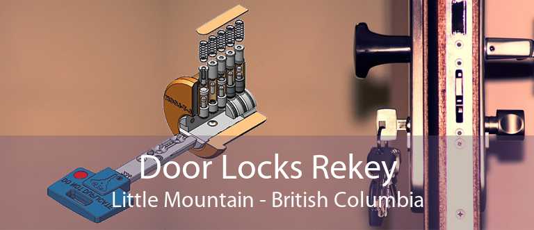 Door Locks Rekey Little Mountain - British Columbia