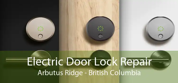 Electric Door Lock Repair Arbutus Ridge - British Columbia