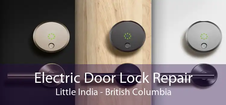 Electric Door Lock Repair Little India - British Columbia