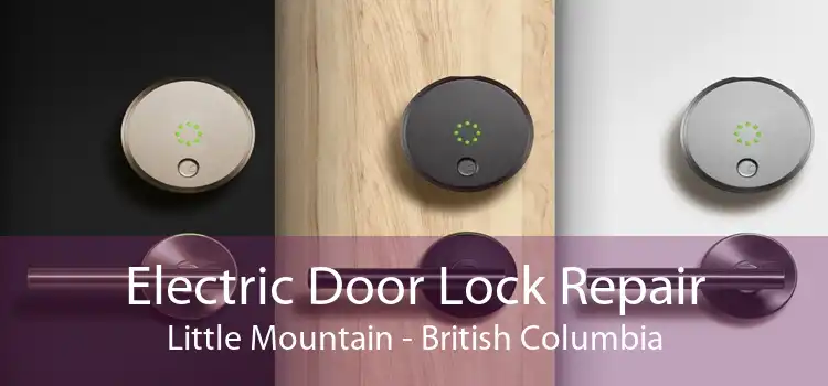 Electric Door Lock Repair Little Mountain - British Columbia