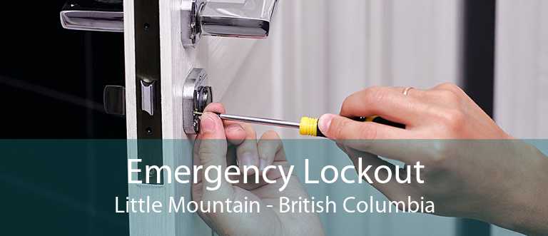 Emergency Lockout Little Mountain - British Columbia