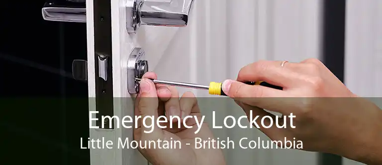 Emergency Lockout Little Mountain - British Columbia