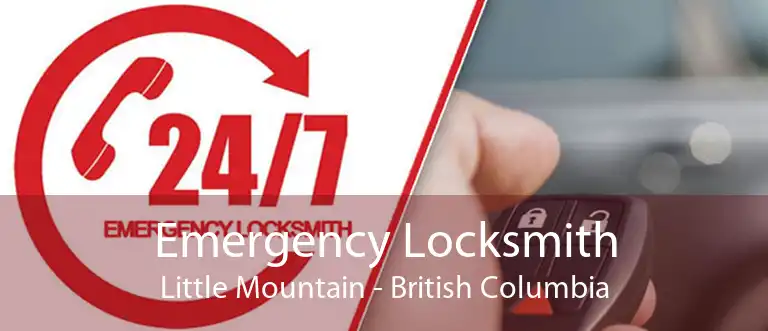 Emergency Locksmith Little Mountain - British Columbia