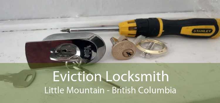 Eviction Locksmith Little Mountain - British Columbia