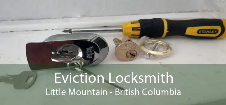 Eviction Locksmith Little Mountain - British Columbia