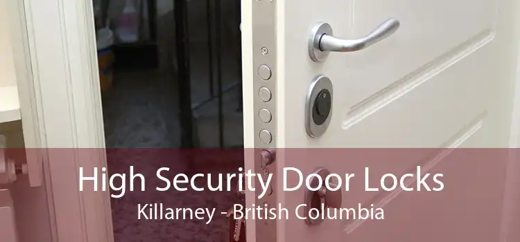 High Security Door Locks Killarney - British Columbia