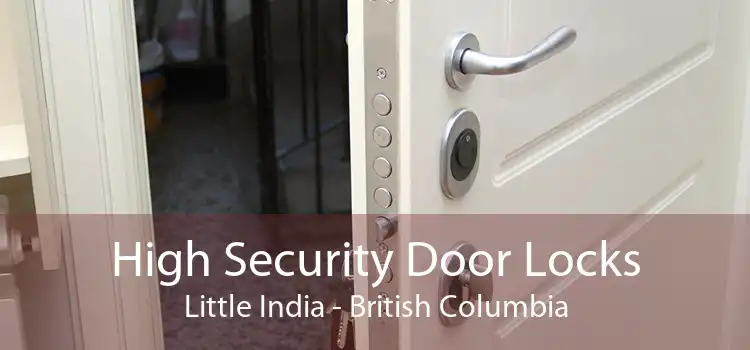 High Security Door Locks Little India - British Columbia