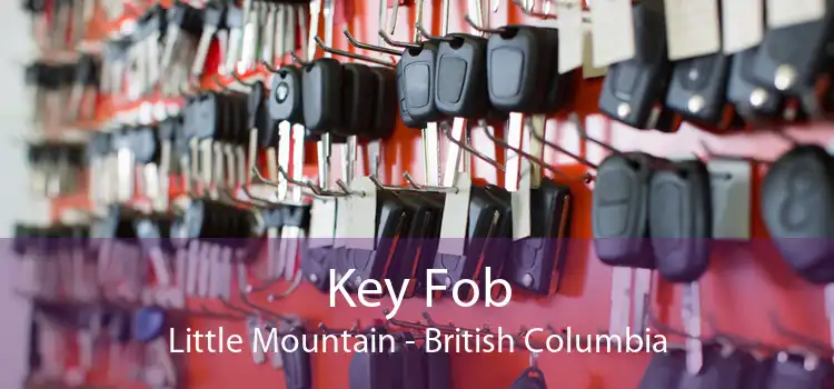 Key Fob Little Mountain - British Columbia