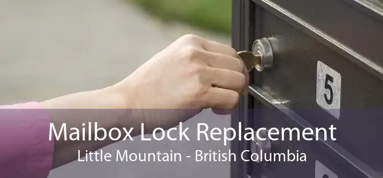 Mailbox Lock Replacement Little Mountain - British Columbia