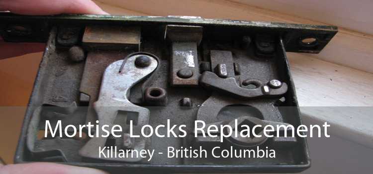 Mortise Locks Replacement Killarney - British Columbia