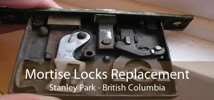Mortise Locks Replacement Stanley Park - British Columbia