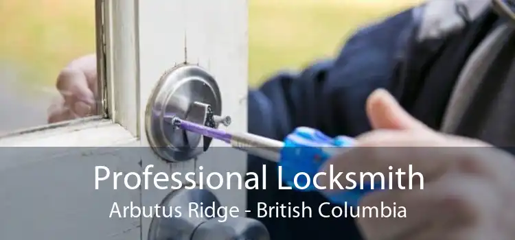 Professional Locksmith Arbutus Ridge - British Columbia