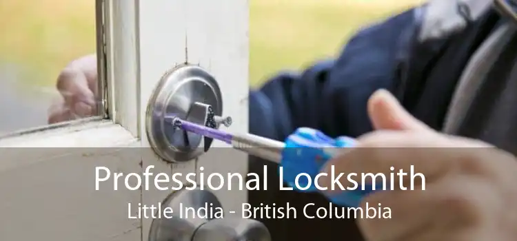 Professional Locksmith Little India - British Columbia