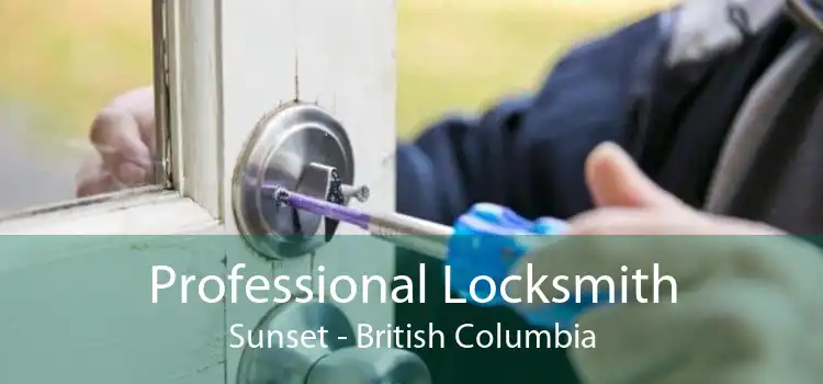 Professional Locksmith Sunset - British Columbia