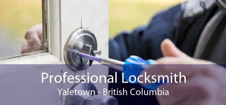 Professional Locksmith Yaletown - British Columbia