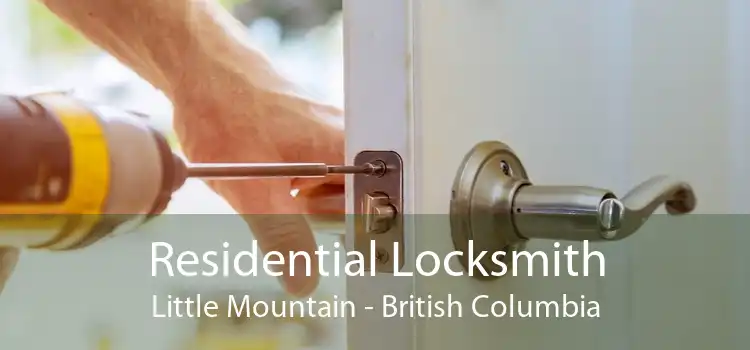 Residential Locksmith Little Mountain - British Columbia