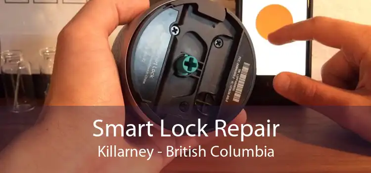 Smart Lock Repair Killarney - British Columbia